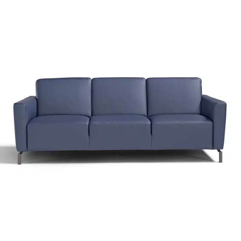 Caleb Sofa By Max Divani